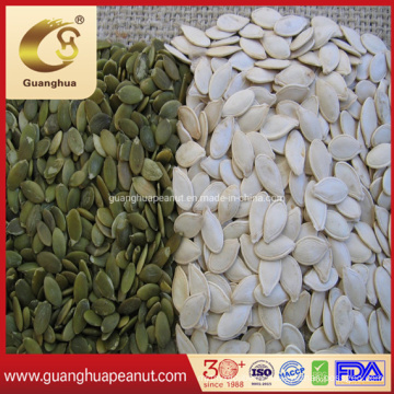 Hot Sale Shine Skin Pumpkin Seed Kernels From Guanghua 2020 New Crop